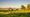 ViVE 2022: Former Livongo execs launch rural healthcare startup Homeward with $20M investment