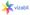 Vizabli Closes $2.5M Seed Financing Round